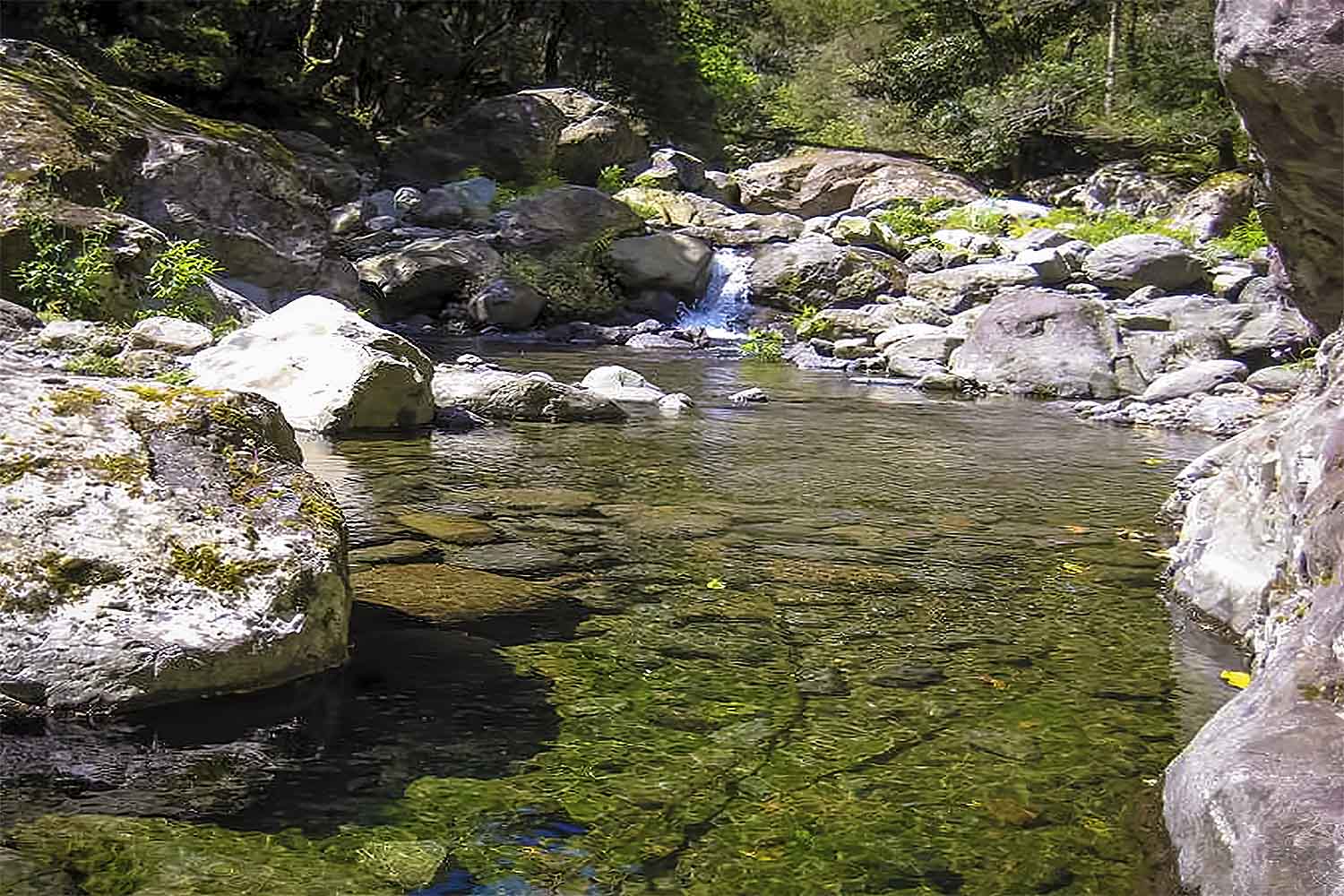 CASTELEJO WALK