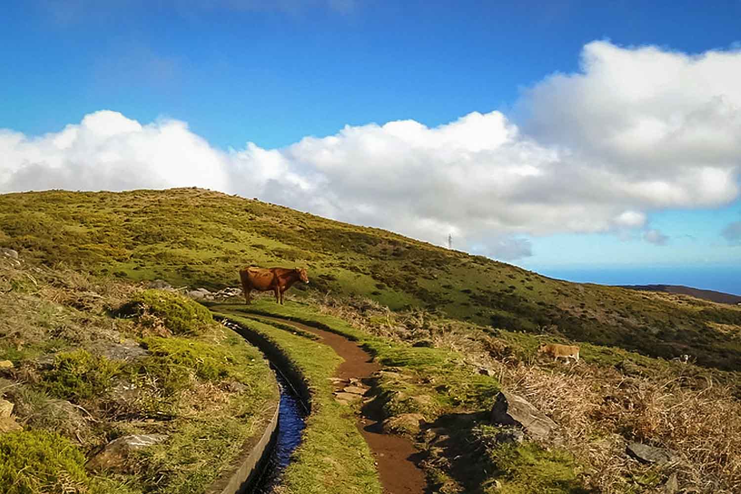 LEVADA DO PAUL WALK