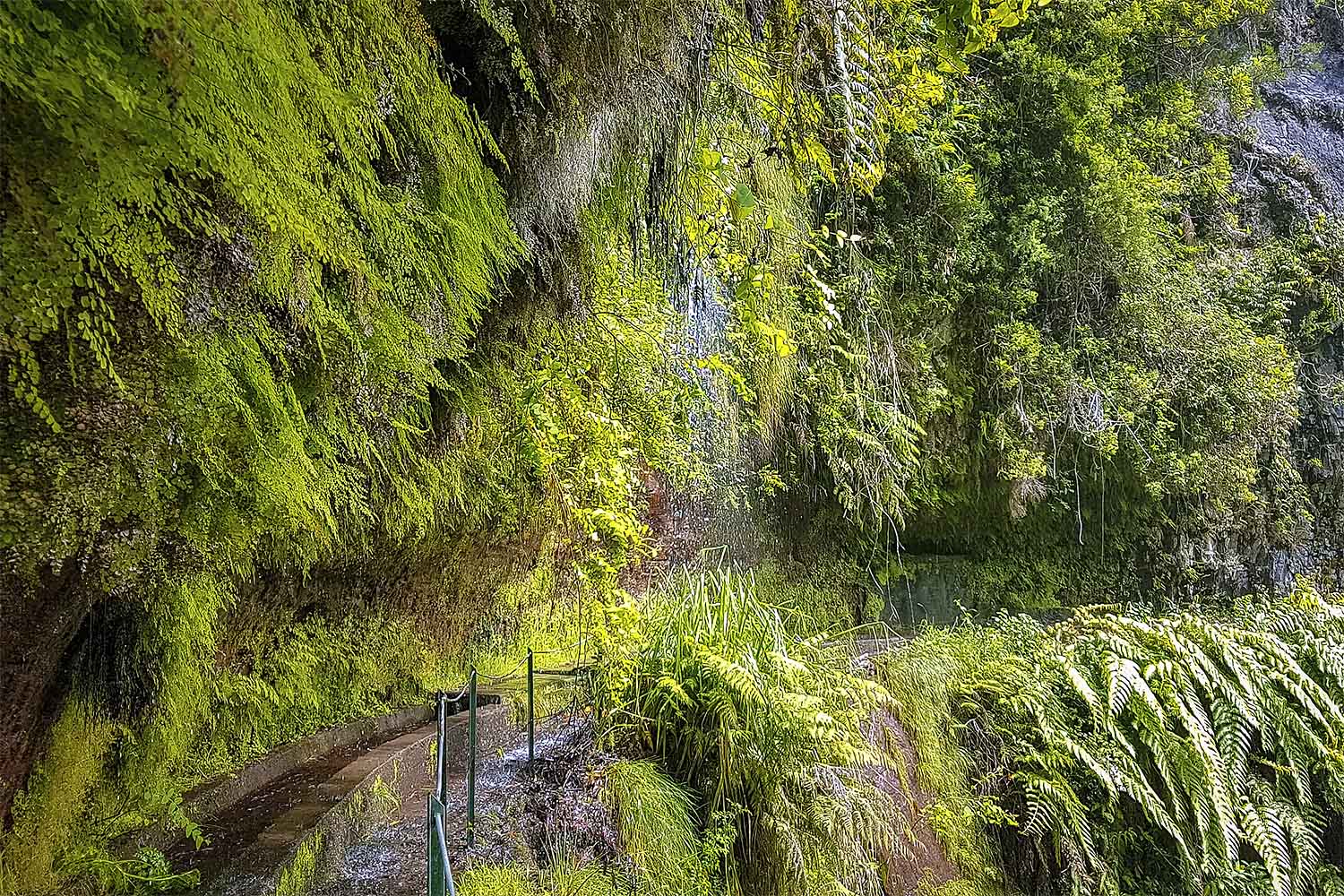 LEVADA DO REI WALK