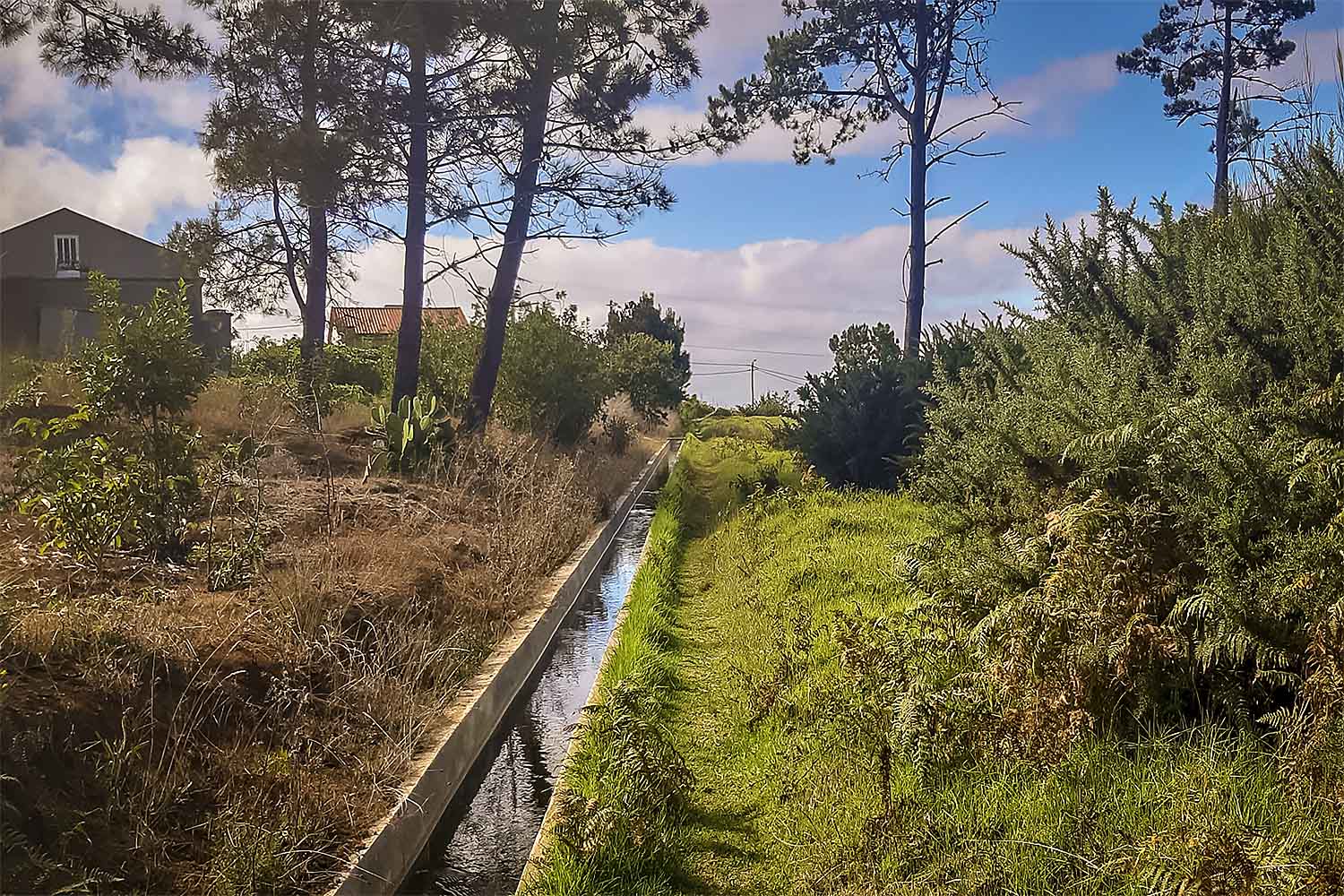PONTA DO PARGO WALK