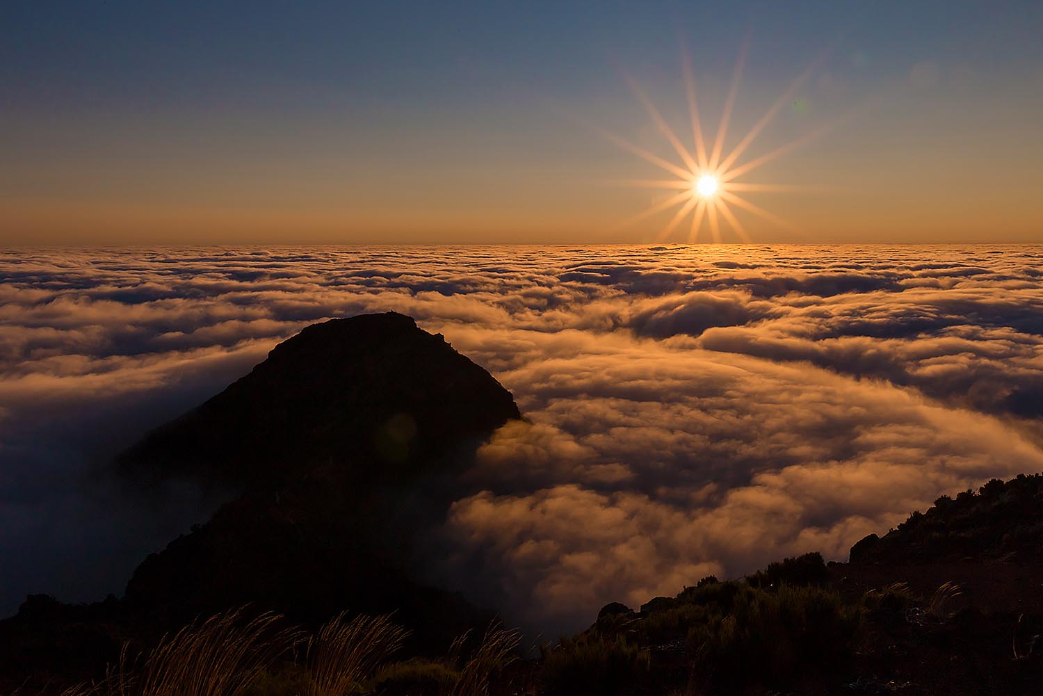 SUNRISE TOUR